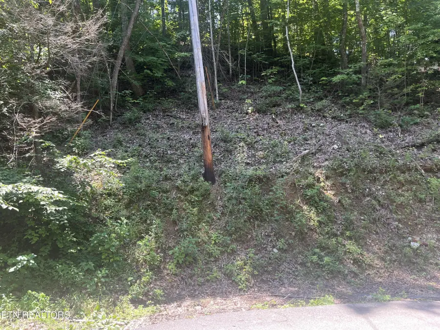 331 Ridgefield Drive, Sevierville, TN 37876 - #2