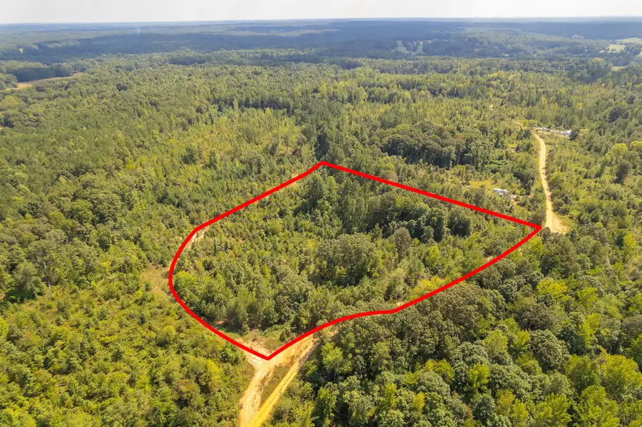 89 Hummingbird Ln, Lexington, TN 38351 - #2