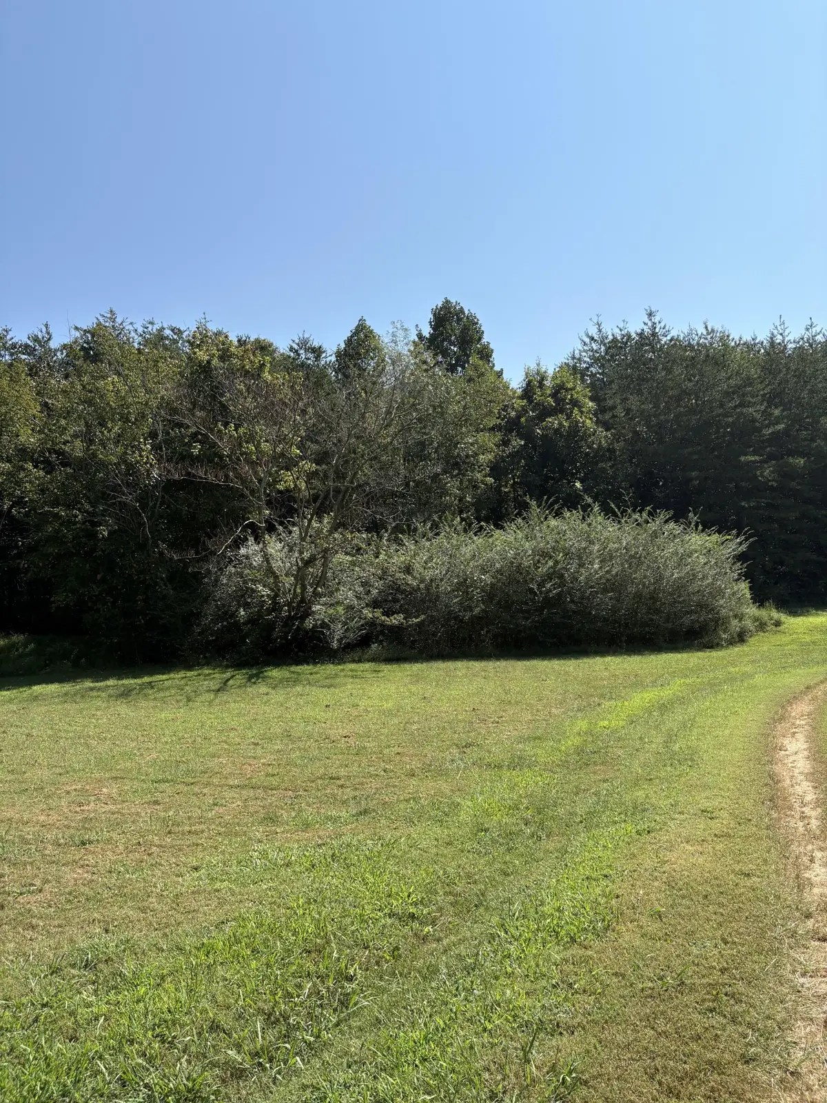 0 John Kirkland Road, Tellico Plains, TN 37385 - #1