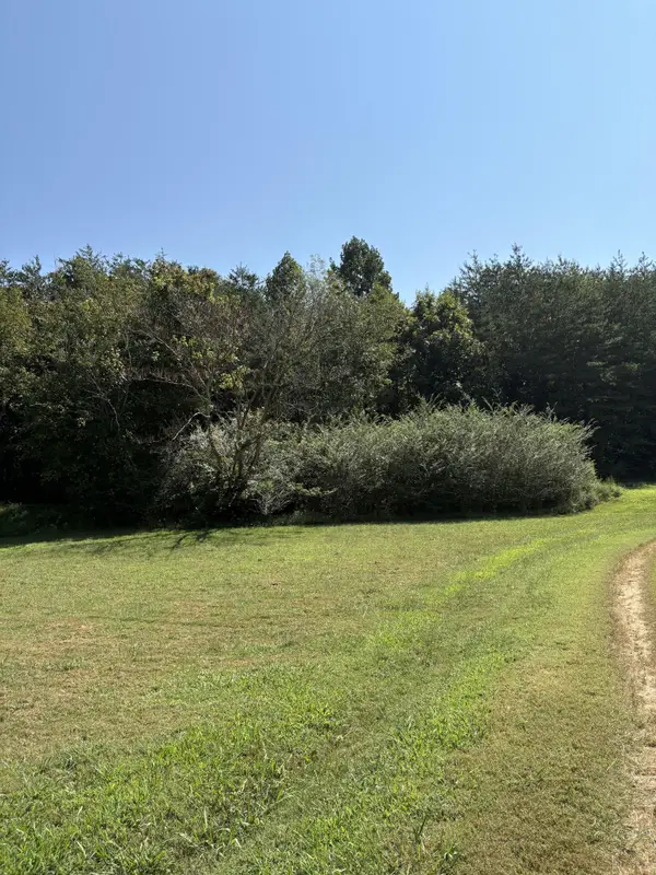 0 John Kirkland Road, Tellico Plains, TN 37385