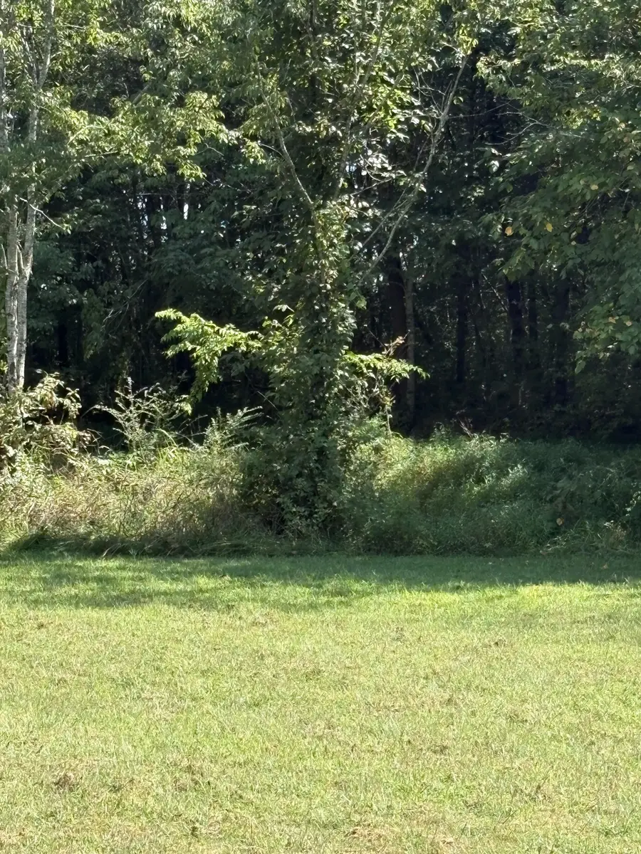 0 John Kirkland Road, Tellico Plains, TN 37385 - #2