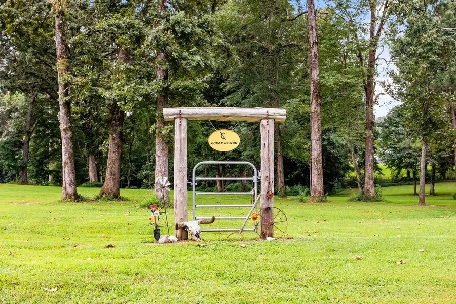 6432 Divider And Natchez Trace Rd, Camden, TN 38320 - #3