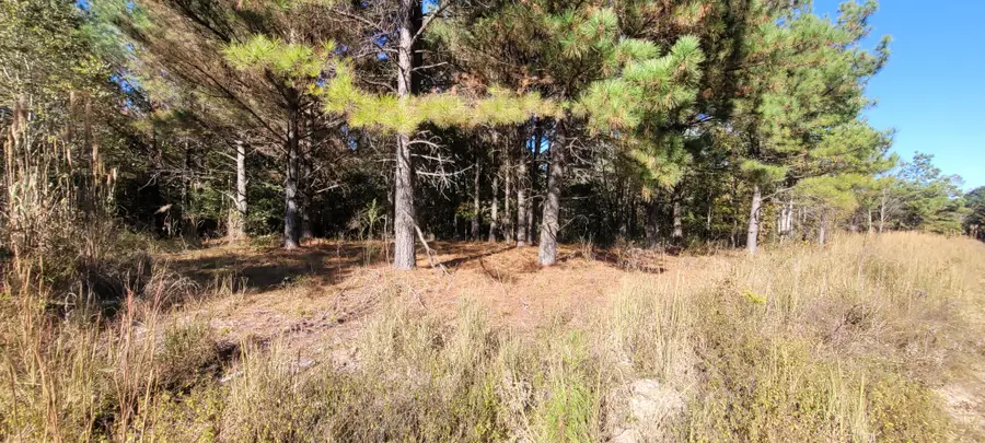 0 Saddleback Dr, Dover, TN 37058 - #2