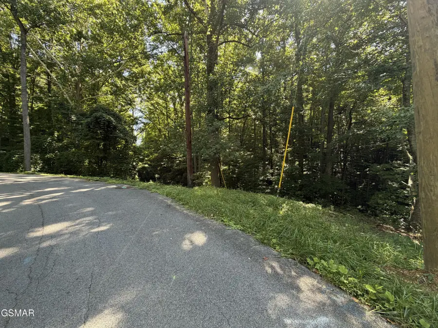 3 Low Gap Road, Gatlinburg, TN 37738 - #2