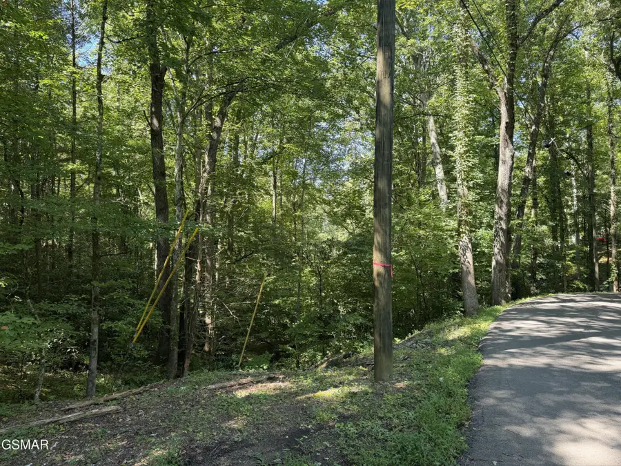 3 Low Gap Road, Gatlinburg, TN 37738 - #3