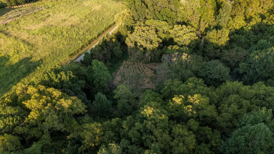 5051 Jones Valley Rd, Williamsport, TN 38487 - #3