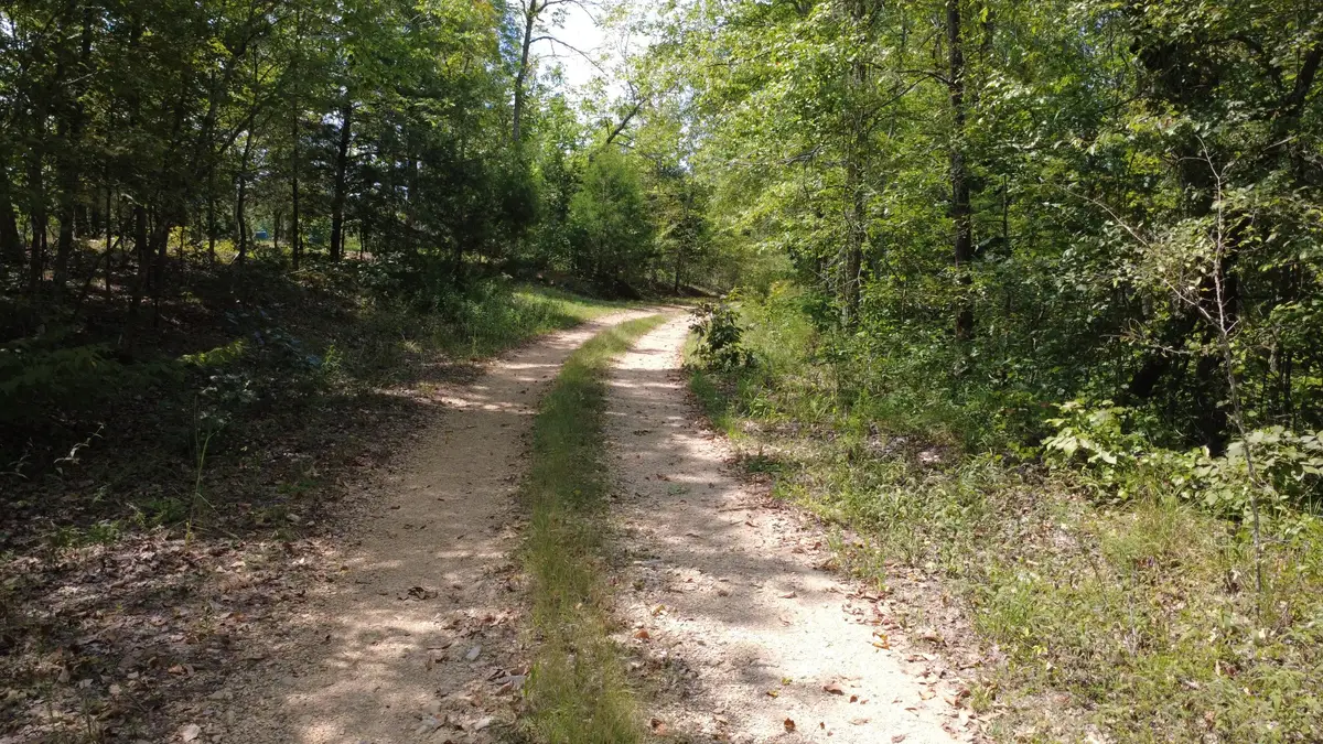 0 Hogg Hill Rd, Lobelville, TN 37097 - #1