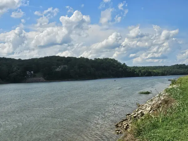 0 Hardin Bottom River Rd, Clifton, TN 38425