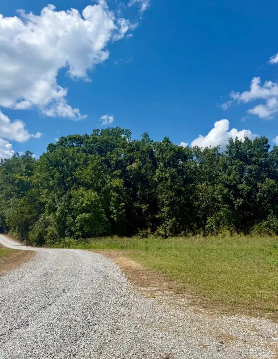 1 Walnut Lane, Nunnelly, TN 37137 - #3
