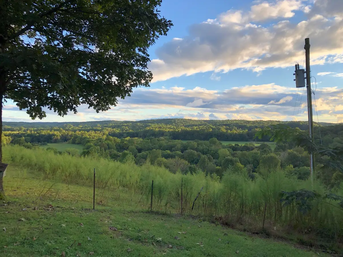 199 Dixon Ln, Waynesboro, TN 38485 - #1