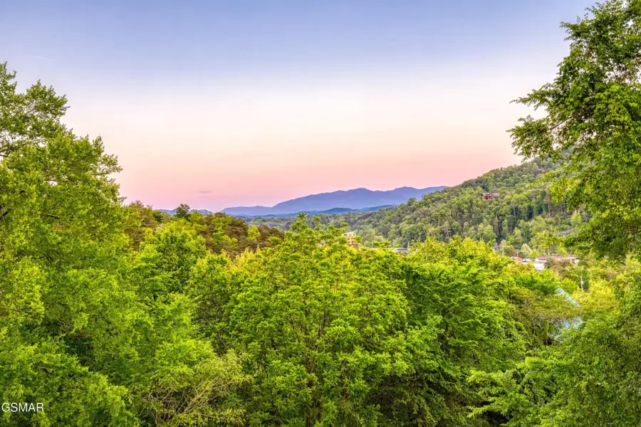 3301 Kestrel Way, Pigeon Forge, TN 37863 - #2
