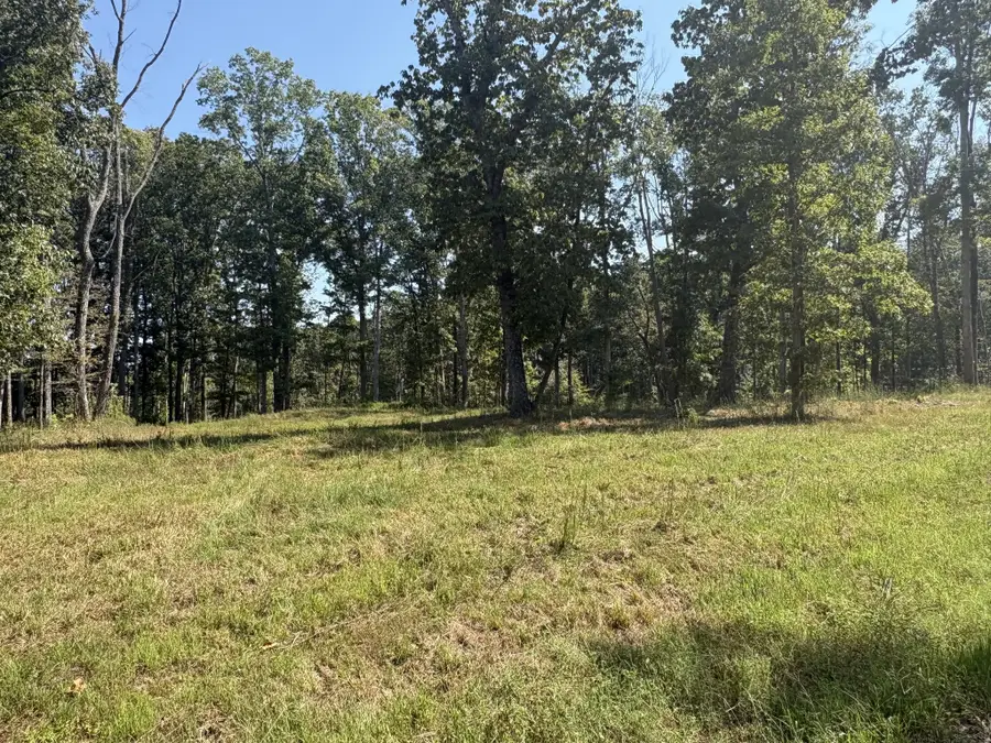 0 Shelton Cemetery Rd, Cumberland Furnace, TN 37051 - #3