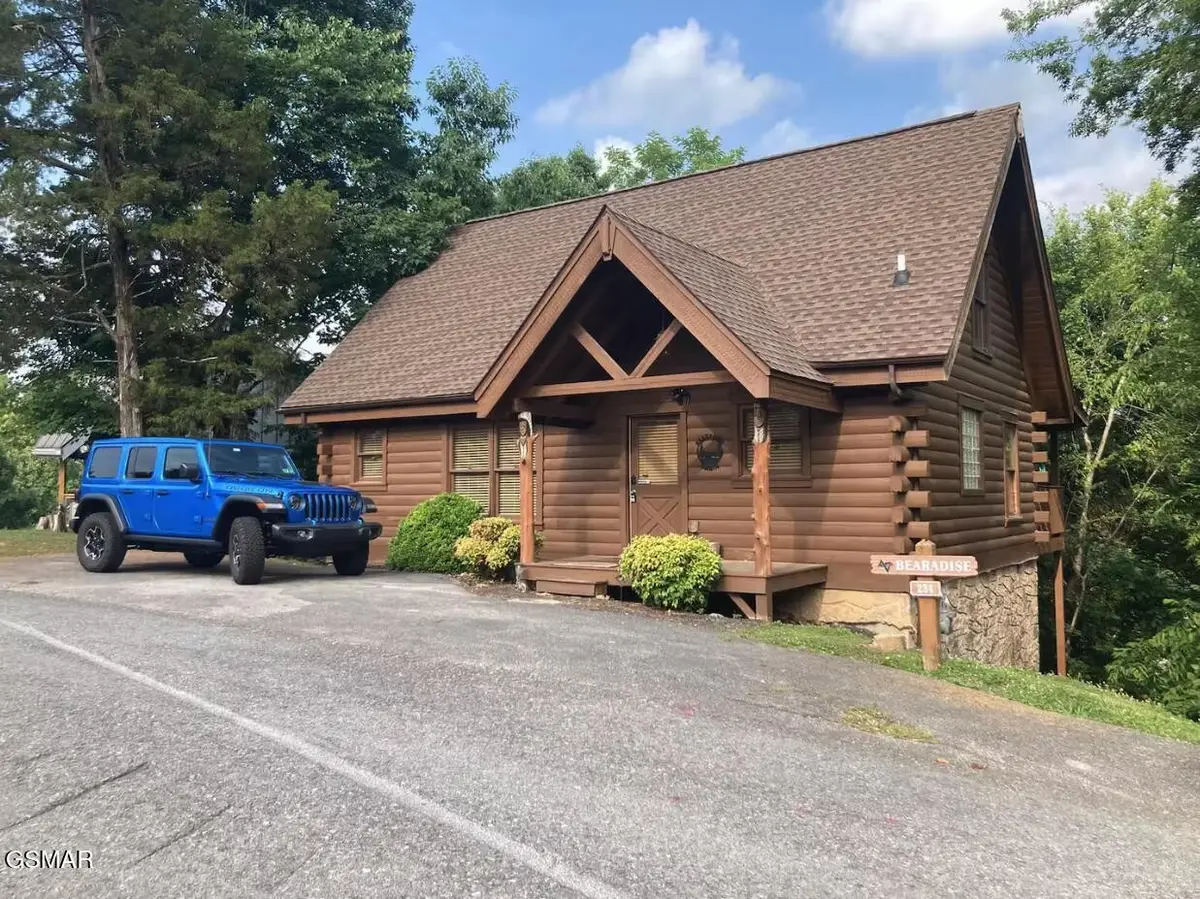 234 Alpine Mountain Way, Pigeon Forge, TN 37863 - #1