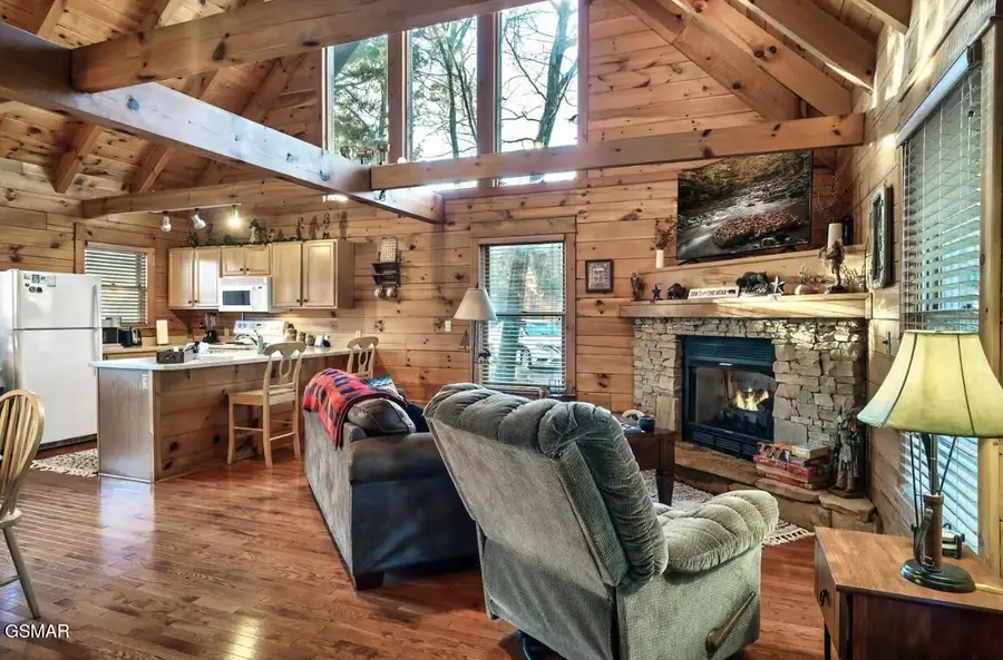 234 Alpine Mountain Way, Pigeon Forge, TN 37863 - #2