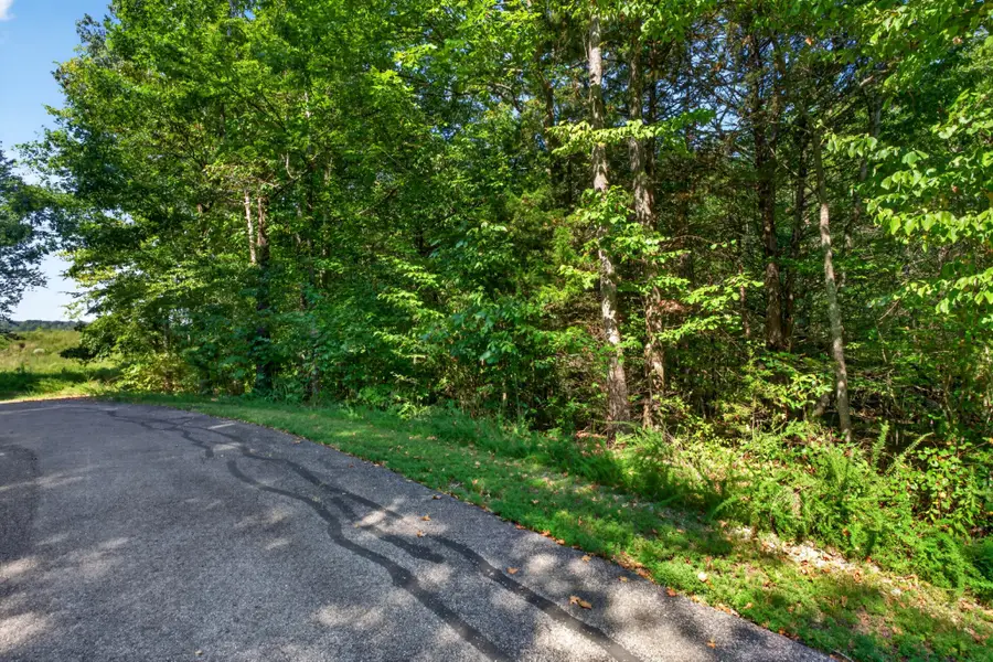 0 Glenalbyn Pass, Sparta, TN 38583 - #3
