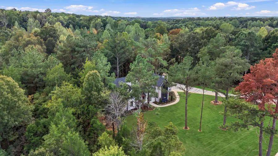 7943 Daugherty Capley Rd, Primm Springs, TN 38476 - #3