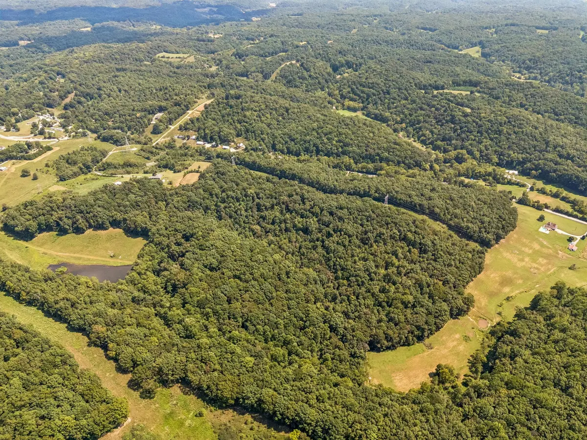 5877 Campbellsville Pike, Lynnville, TN 38472 - #1