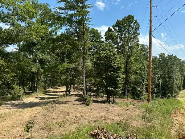 795 Bear Creek Rd, Waverly, TN 37185