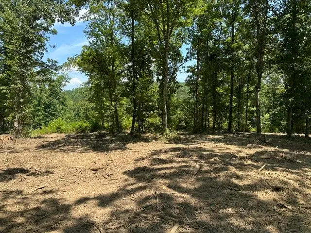 795 Bear Creek Rd, Waverly, TN 37185 - #2
