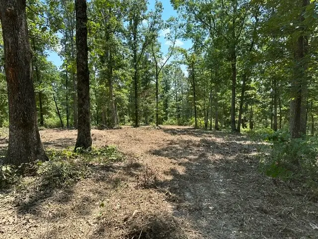 795 Bear Creek Rd, Waverly, TN 37185 - #3