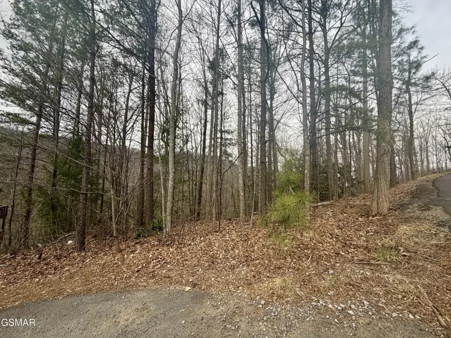 6 Thissa Way, Gatlinburg, TN 37738 - #3
