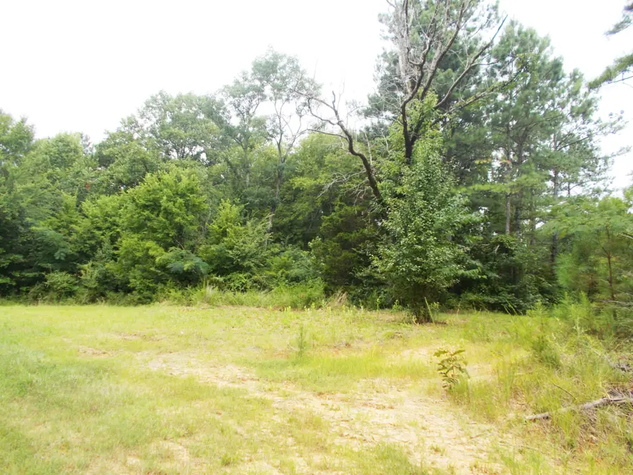 0 Sand Pit Loop, Camden, TN 38320 - #3