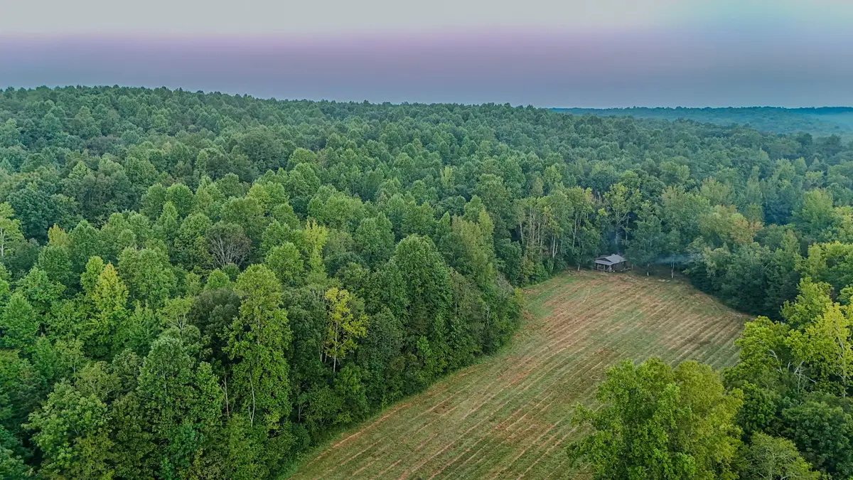 965 Flag Springs Rd, Lynnville, TN 38472 - #1