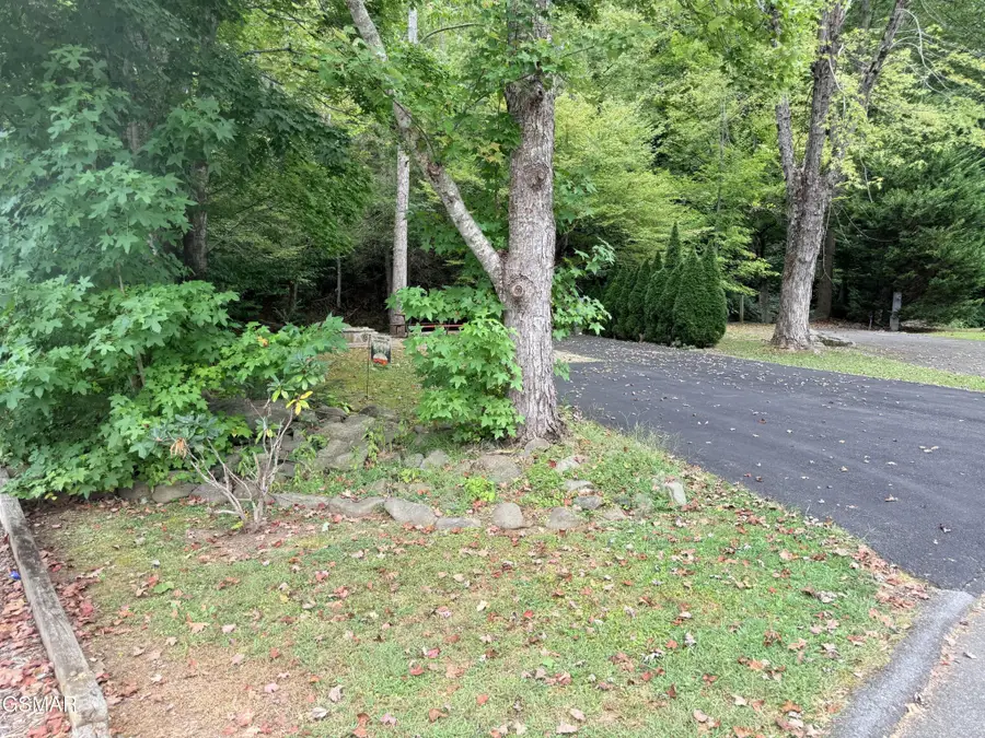 4229 E Parkway, Gatlinburg, TN 37738 - #3