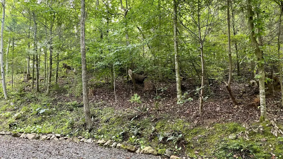 28 Walden Cove Way, Sevierville, TN 37862 - #2