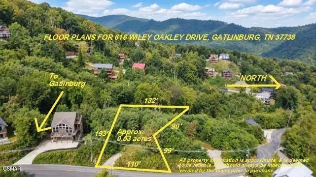 616 Wiley Oakley Drive, Gatlinburg, TN 37738 - #3