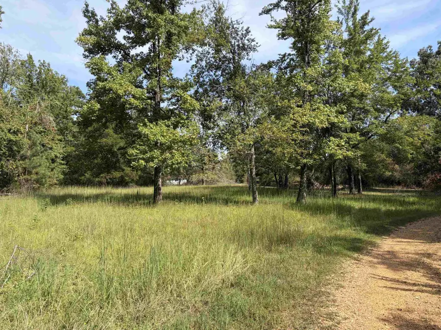 230 B And K Way, Adamsville, TN 38310 - #2