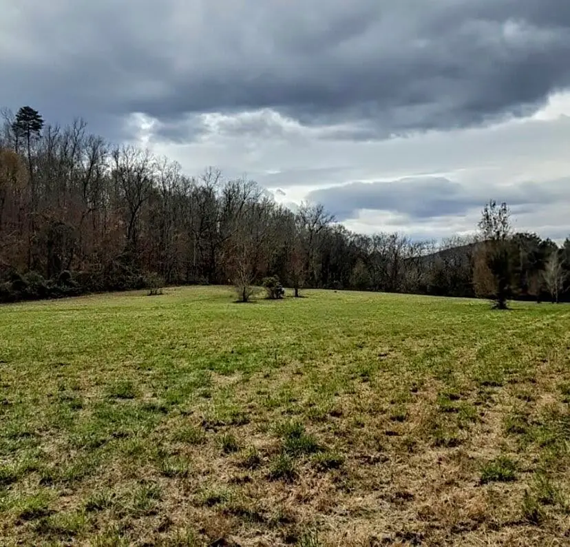 4880 Hills Creek Rd, McMinnville, TN 37110 - #2