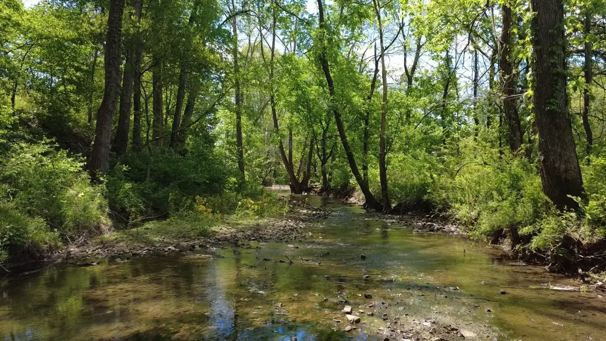 293 E Piney Rd, Dickson, TN 37055 - #1