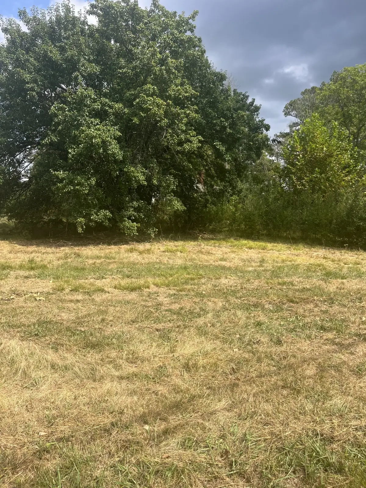 0 New Murraytown Road Nw, Cleveland, TN 37312 - #1