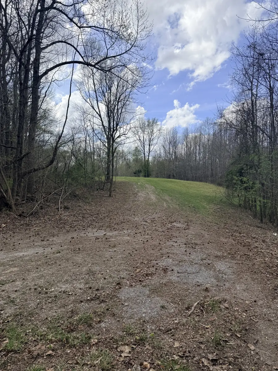 0 Sugar Tree Knob Rd, Liberty, TN 37095 - #2