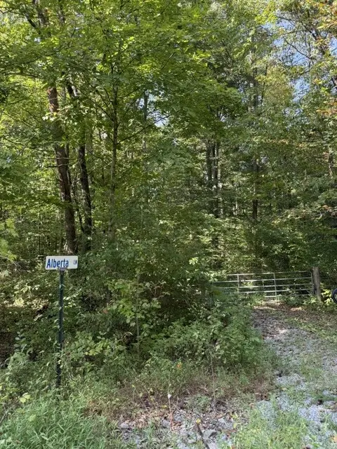 0 Alberta Lane, Lynchburg, TN 37352 - #2