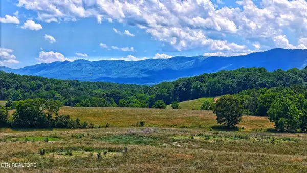 251 Cloud Way, Parrottsville, TN 37843