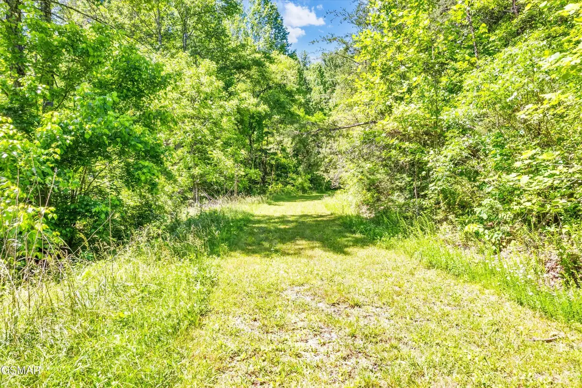 5 Amis Way, Sevierville, TN 37876 - #1