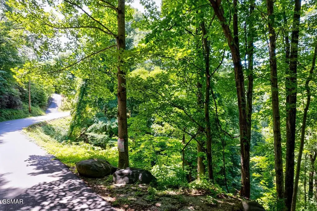0 Ski Mtn, Gatlinburg, TN 37738 - #1