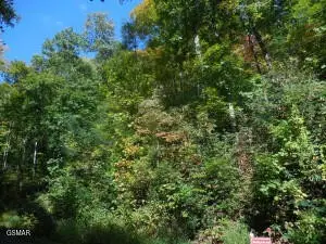 0 Off Hidden Valley, Gatlinburg, TN 37738