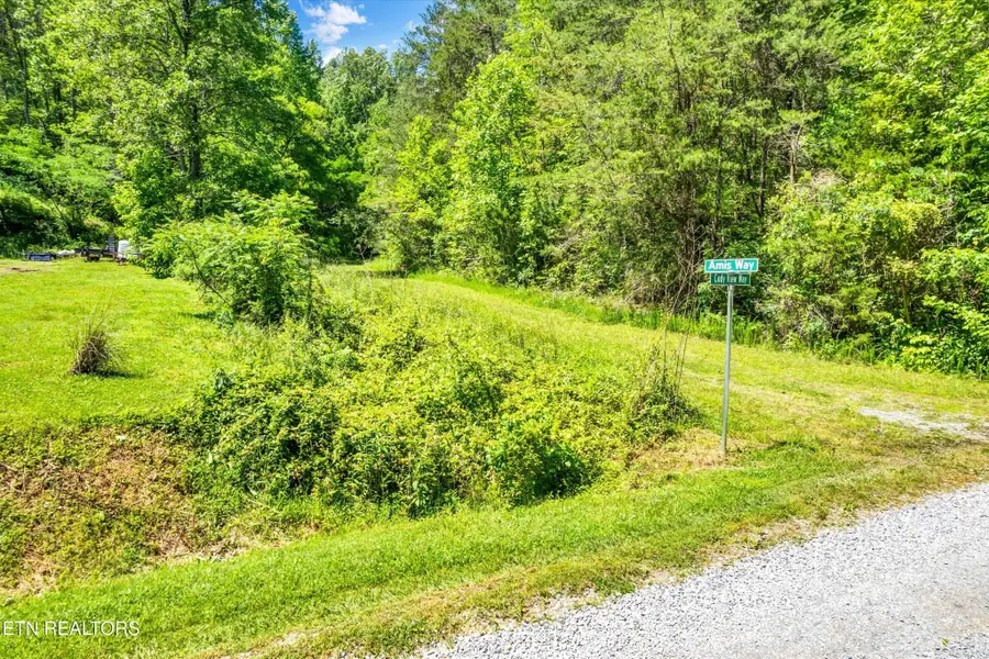 0 Amis Way, Sevierville, TN 37876 - #2