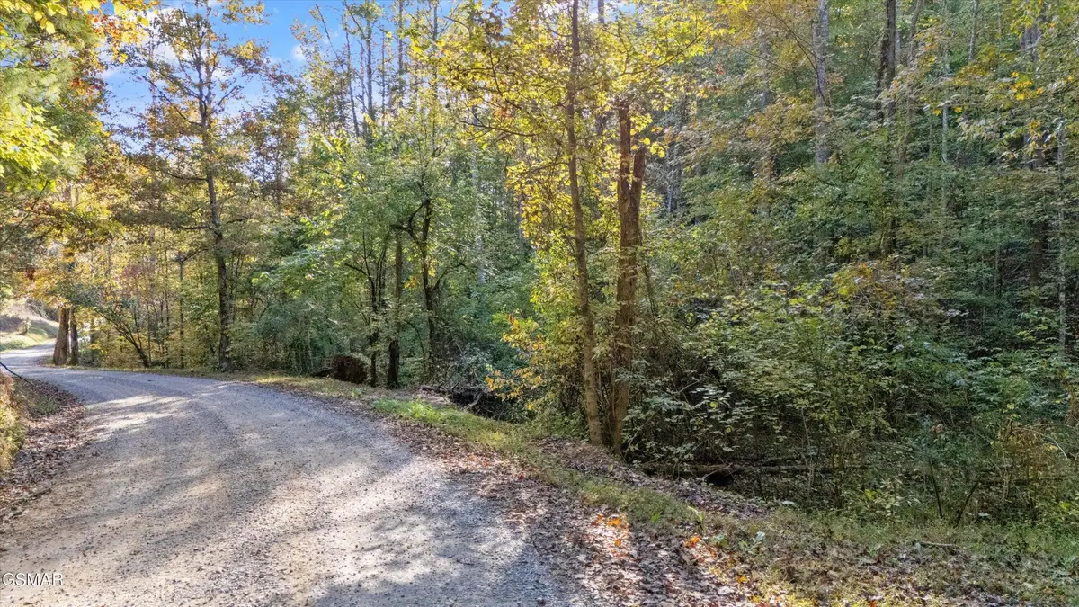 31 Sulpher Springs Way, Sevierville, TN 37862 - #1