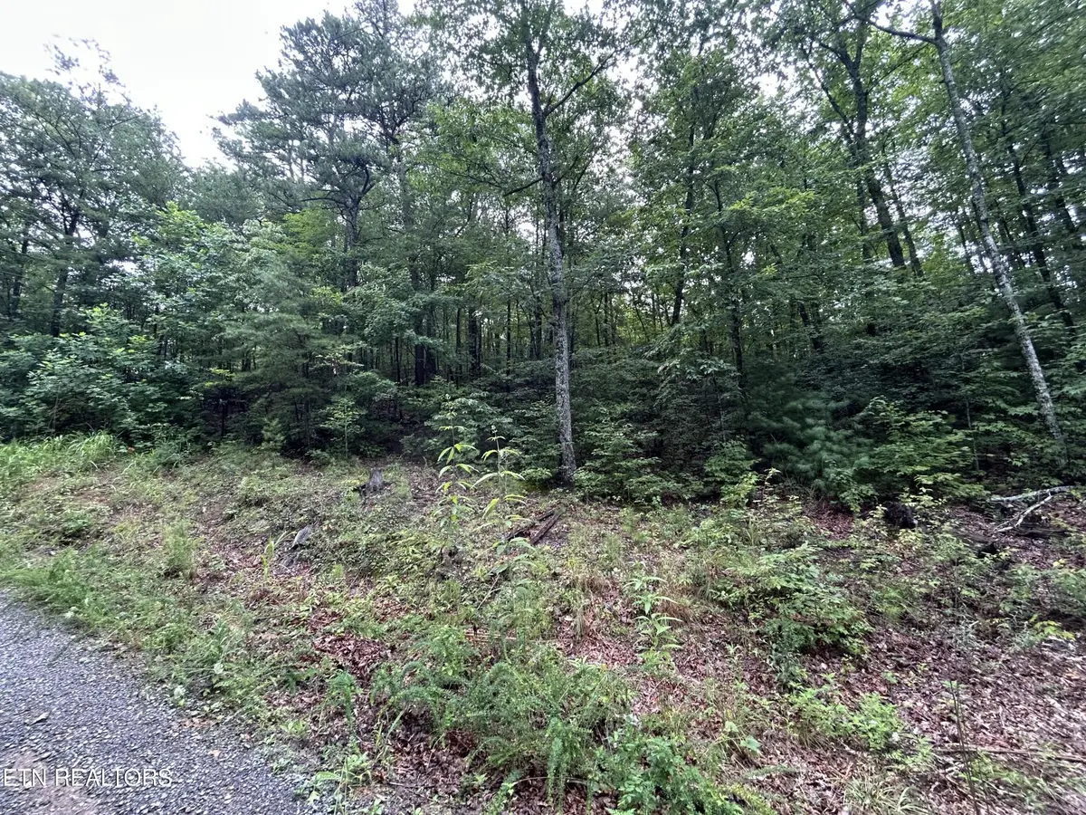 0 Black Oak Drive, Sevierville, TN 37876 - #1