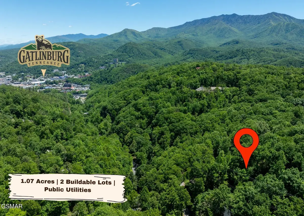 811 San Remo Drive, Gatlinburg, TN 37738 - #1