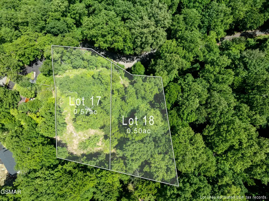 811 San Remo Drive, Gatlinburg, TN 37738 - #2