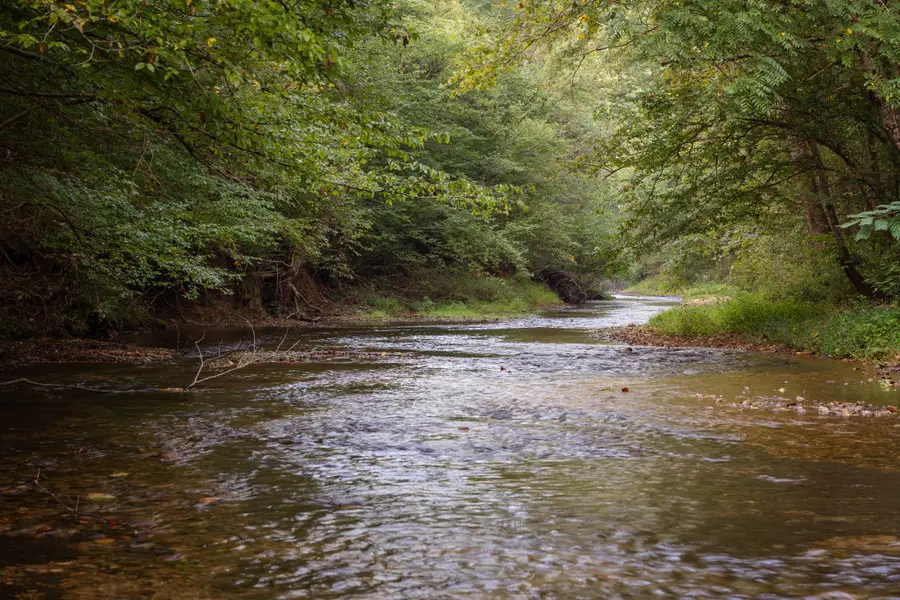 0 Old Mill Creek Rd, Nunnelly, TN 37137 - #3