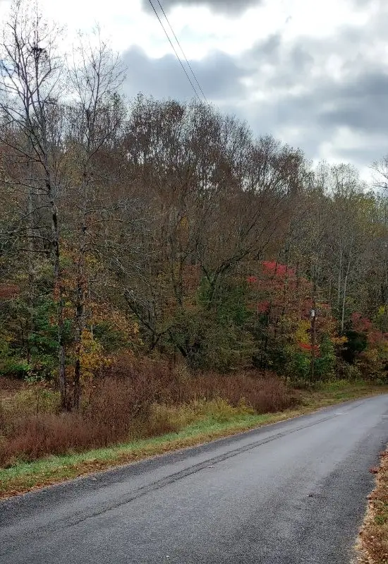 0 Carpenter Rd, Dellrose, TN 38453 - #2