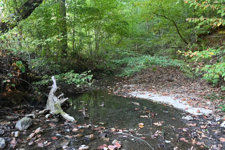 1826 Swindle Creek Rd, Linden, TN 37096 - #2