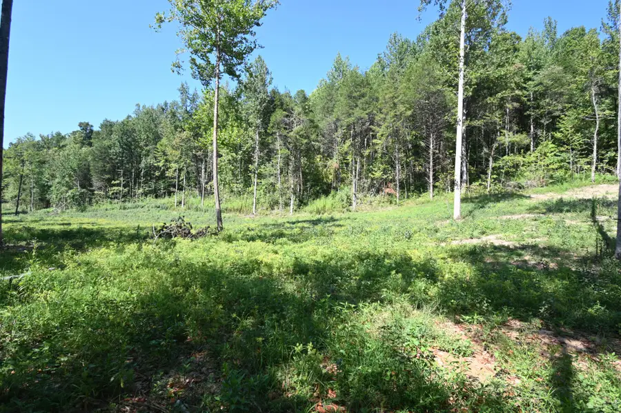 1826 Swindle Creek Rd, Linden, TN 37096 - #3