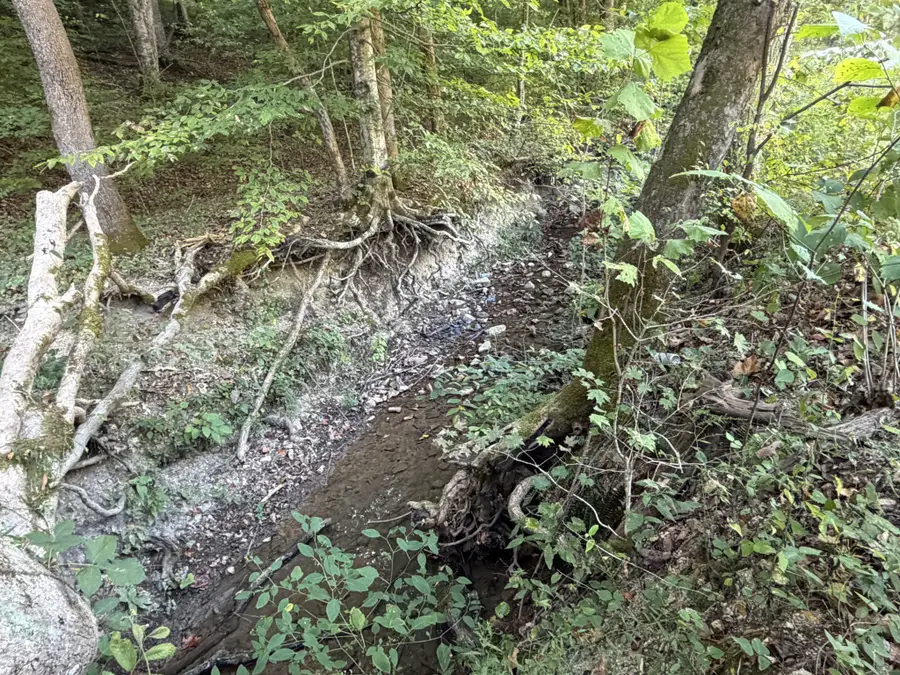 1928 Swindle Creek Rd, Linden, TN 37096 - #2